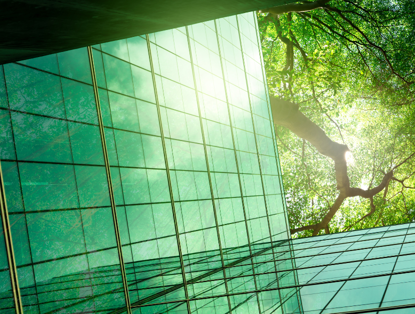 Reflectie van een boom in het glas van een modern gebouw met een helderblauwe lucht op de achtergrond.