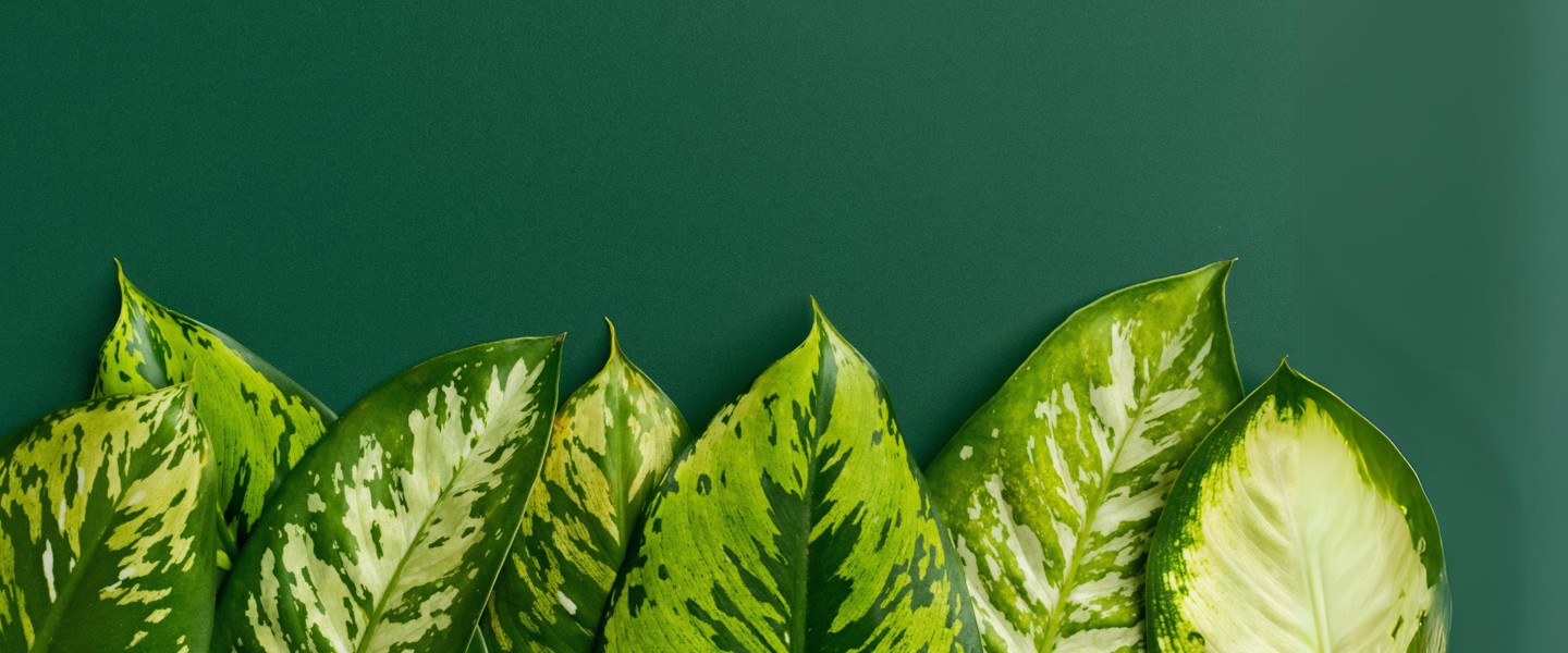 Simple Text Blok Verduurzamen